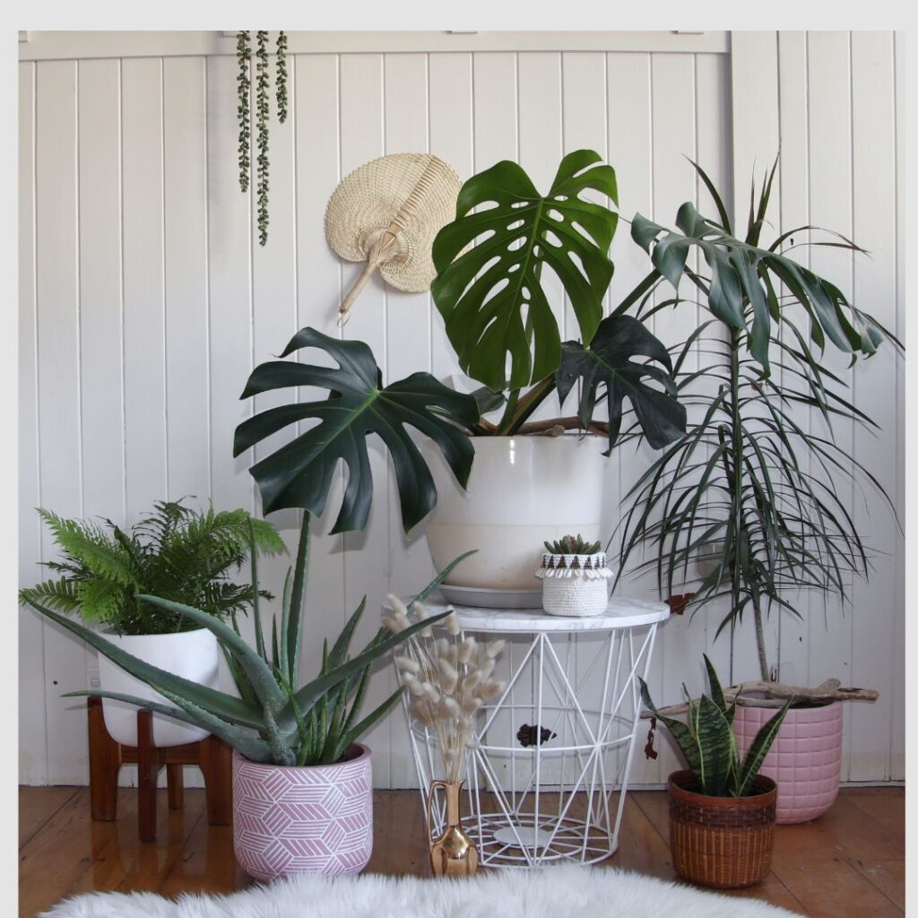 Plant Maintenance Plant Maintenance Services in Dubai and Abu Dhabi by Adplants.com