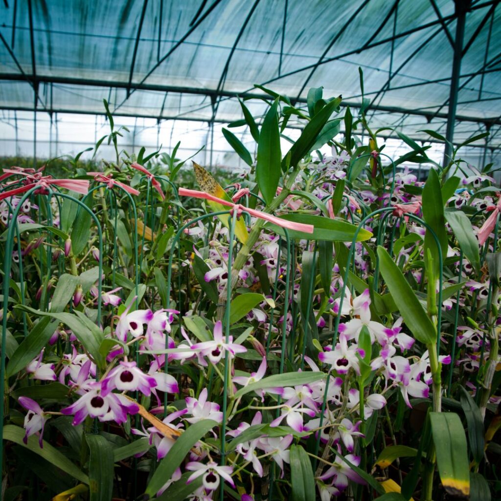 Plant Maintenance Plant Maintenance
