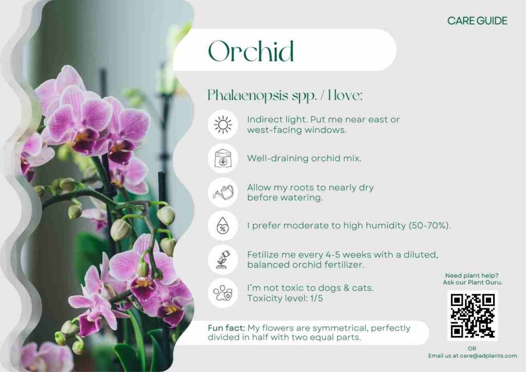 Plant Care Plant Care