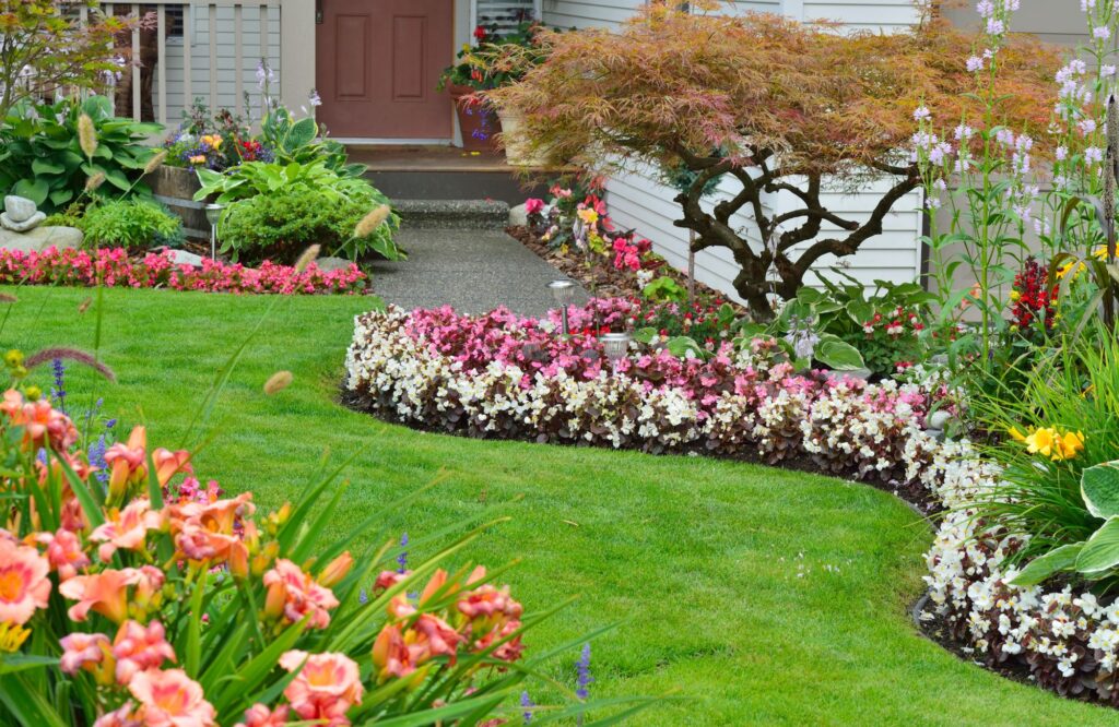 Outdoor Plant Setting Outdoor Plant Setting