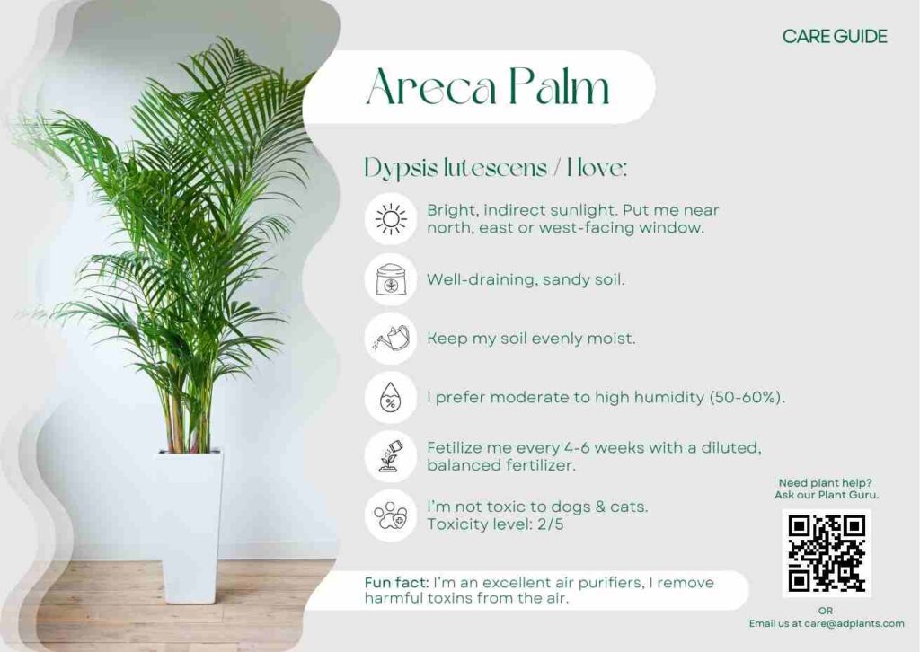 Plant Care Plant Care